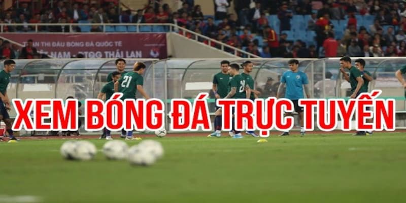 Xem bóng đá trực tiếp kèo nhà cái Lý do nên chọn xem bóng đá trực tiếp kèo nhà cái