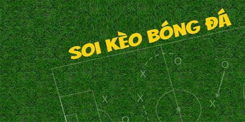 Hướng dẫn cách đọc kèo nhà cái và phân tích